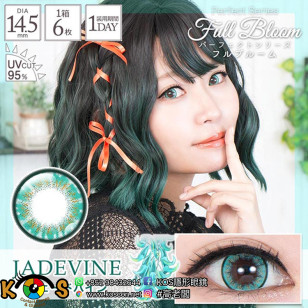 PerfectSeries 1Day Full Bloom Jadevine パーフェクトシリーズワンデー フルブルーム ジェードバイン